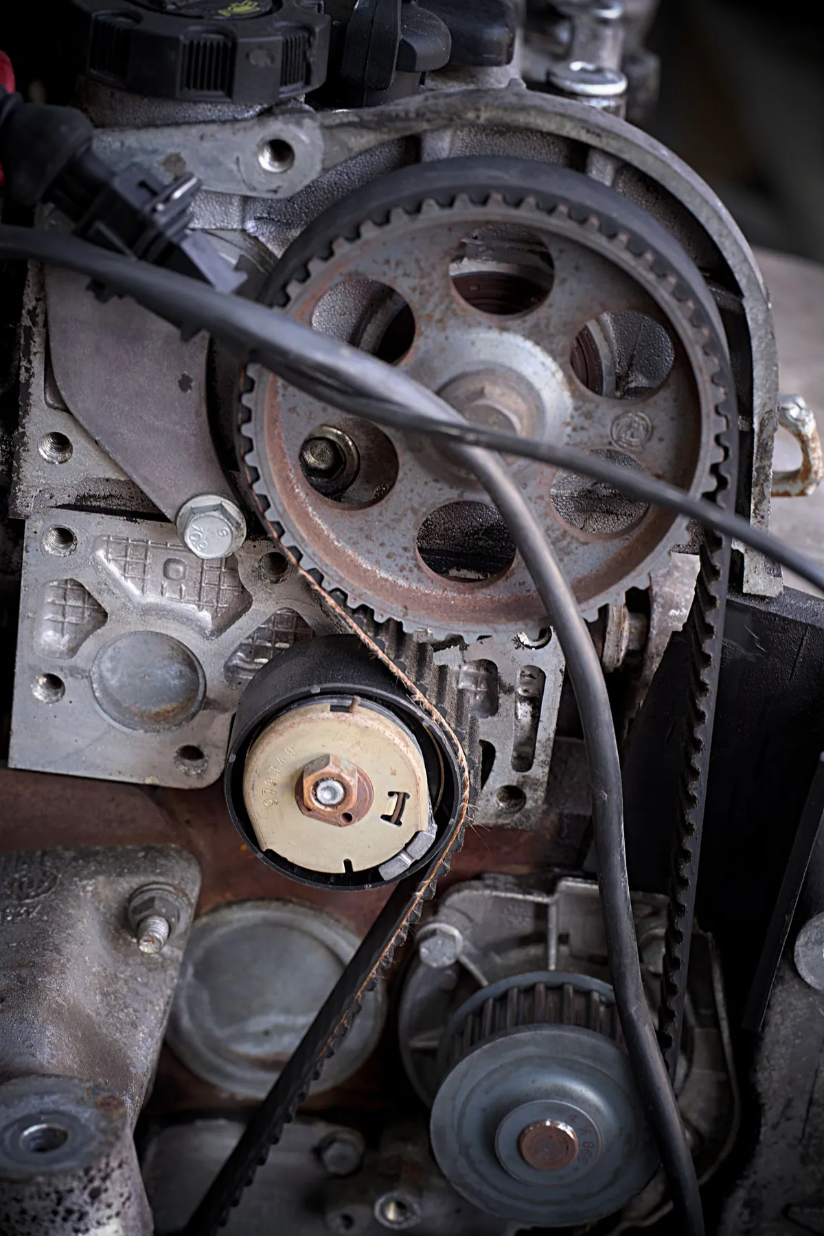 A timing belt running over the camshaft sprockets of an engine